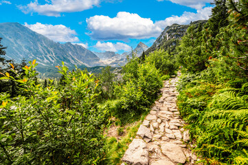 Fototapeta na wymiar Tatra National Park in Poland. Tatra mountains panorama, Hiking in Gasienicowa valley (Hala Gasienicowa) to Czarny Staw Gąsienicowy near Kasprowy Wierch