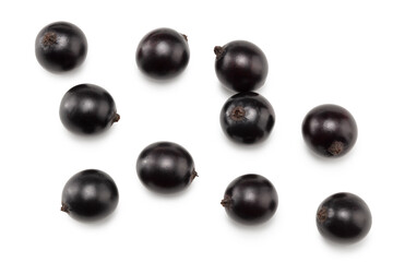 black currant isolated on white background. macro. clipping path. top view