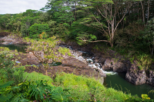 rocky banks and woodlands along wailuku river in state park hilo hawaii
