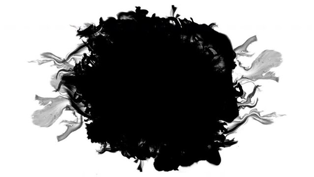 6 Ink drops in white background mattes