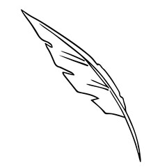 Bird feather quill, writing ink pen, hand drawn outline, doodle sketch. Freehand, minimalism style, line art. Isolated. Vector illustration