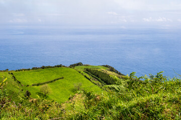Fototapeta na wymiar paisagem costeira de S. Miguel, Açores