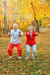 Elderly couple doing sports in the park