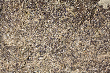 Wattle and daub wall texture