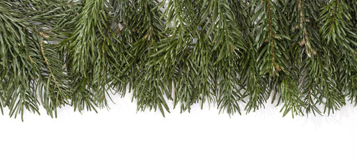  Branches de sapin de Noêl Nordmann