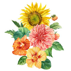 Multicolored flowers. Sunflower, nasturtium, dahlia, zinnia and leaves. Hand painted illustration. Watercolor drawing