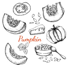 Pumpkin. Sliced pumpkin, seeds and plant sprout. Porridge and pumpkin pie. Black and white stock illustration. Sketch. Hand drawn. Isolated. Engraving. Great for vegetarian food labeling, packaging 