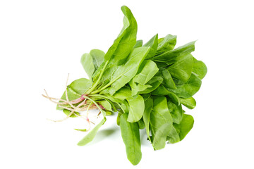 Bunch of spinach isolated on a white background