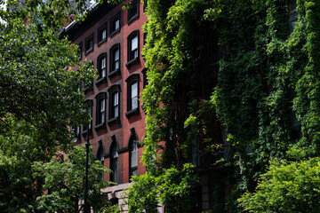 Row of Beautiful Old Brick Residential Buildings with Green Trees and Ivy in the East Village of New York City