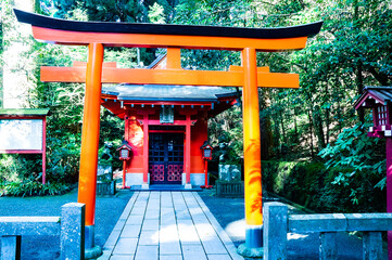 日本の有名な神社　箱根神社