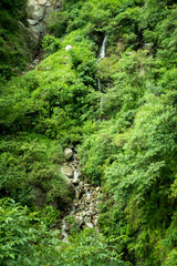 A small water stream pouring down a mountain covered with wild green vegetation during monsoon season in the Himalayan region of Uttarakhand, India.