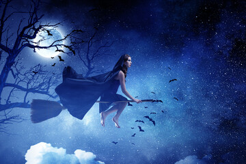 Witch on the broom . Mixed media