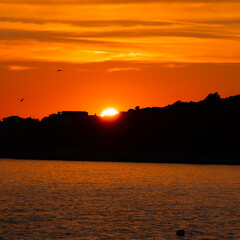 sunset over the sea with trees and houses as a silhouette and a beautiful red sky with a few clouds and 2 brids flying in this panorama in Sevid, Croatia