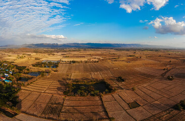 Aerial view rice soil prepare paddy rice plantation
