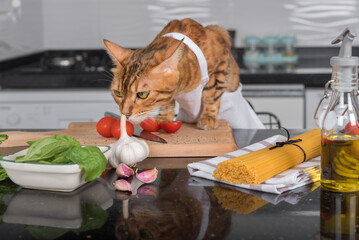 The cat cook at the kitchen table on which the ingredients for cooking lie.