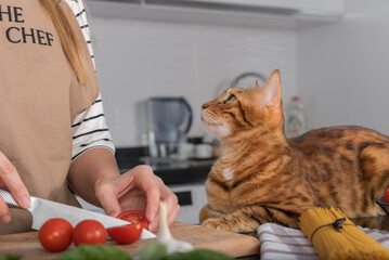 The cat and her owner prepare pasta with cherry tomatoes and basil.