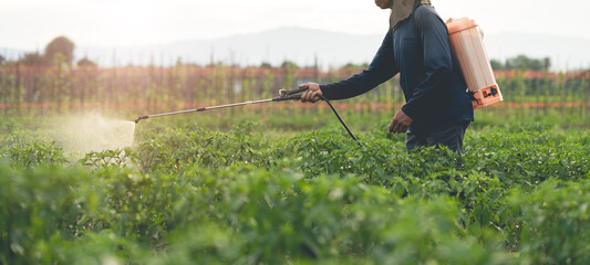 Farmers are using chemical sprayers on their farm fields. to prevent insects To nourish plants. Use...