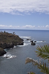 Fototapeta na wymiar Canary Islands Tenerife Atlantic Ocean Coast Palm Trees 