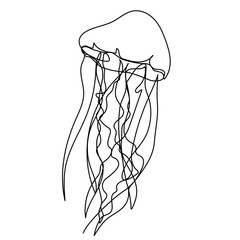 continuous line drawing jellyfish sketch, vector