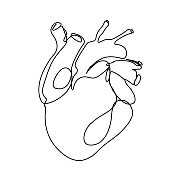 Continuous line drawing of a love symbol with a human heart.