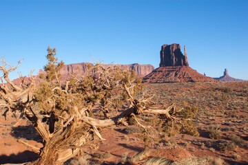 Sky Mountain Natural landscape Bedrock Plant Mountainous landforms