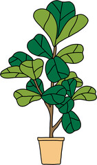 freehand sketch drawing of fiddle leaf fig tree.