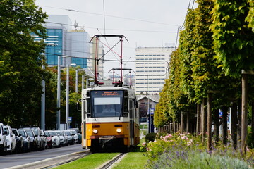 Fototapeta na wymiar green grass between tramway steel tracks. diminishing perspective with yellow tram closeup and streetscape. lush green tree line on the side. environment and city lifestyle concept