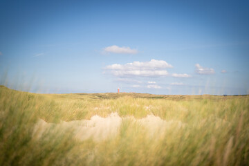 Obraz premium Dünen