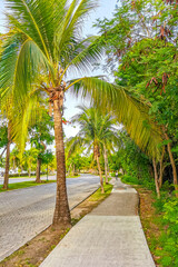 Obraz premium Typical street road and cityscape of Playa del Carmen Mexico.