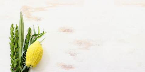 Jewish festival of Sukkot. Traditional symbols (The four species): Etrog (citron), lulav (palm branch), hadas (myrtle), arava (willow) © tomertu