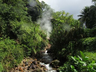 Plant Water Plant community Cloud Sky Fluvial landforms of streams