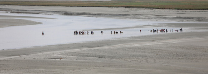 travelers walking on the beach by the sea at low tide on an adventurous excursion