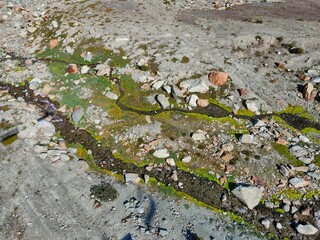 moss and water natural patterns on stone