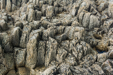 natural stone background, the remains of lava basalt columns form a relief surface