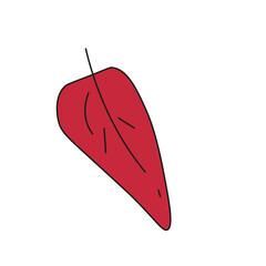 Autumn leaves forest