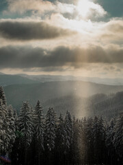 Snowy landscape and trees with sunbeam