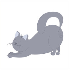 Cartoon cat. cat stretching. vector illustration
