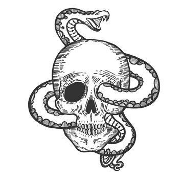 Snake in human skull sketch PNG illustration with transparent background
