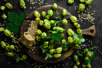 Green fresh hop cones for making beer. Free space for text.