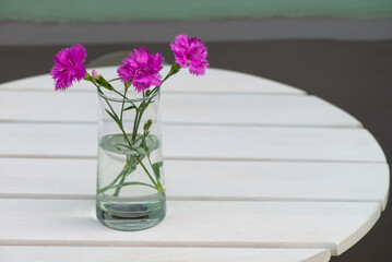 Glass vase with purple carnation flowers on a white table outside near a cafe, items and street photography