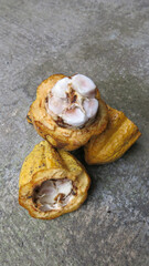 damage beans of cocoa fruit due to pests and fruit fly attack. Photo taken on concrete floor.