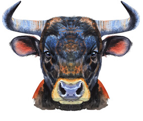 Watercolor illustration of black powerful bull