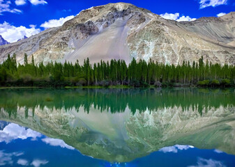 lake reflection