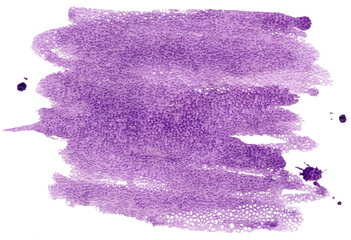 Coloured Watercolor Background