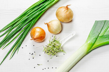Naklejka na ściany i meble Micro greens, young onions, bulbs and leeks on white wooden background