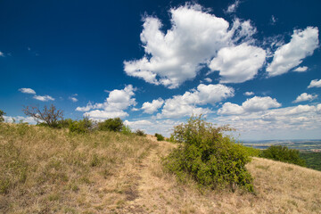 Dry grass on Table mountain in Palava, in hot summer day under white clouds and blue sky. Czech Republic.