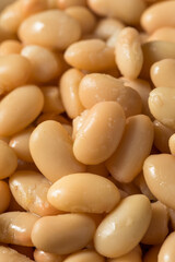 Raw White Organic Cannellini Beans