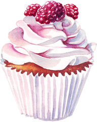 Cupcake. Dessert. Watercolor illustration. Hand-painted	