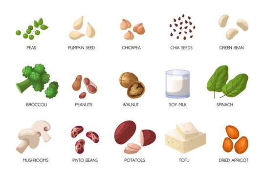 Vegan sources of protein cartoon illustration set. Peas, pumpkin seeds, chickpea, chia seeds, green bean, broccoli, peanuts, walnut, soy milk, spinach, tofu, pinto beans. Veganism concept