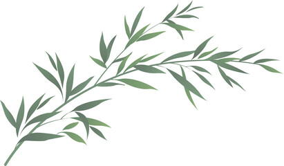 Nature plant bamboo leaf branches